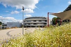 ara